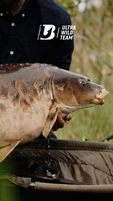 NEW PB