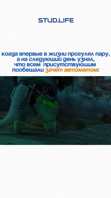 А вам ставили зачеты таким образом?😼