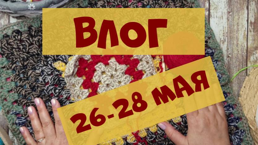 Неделя котопледов