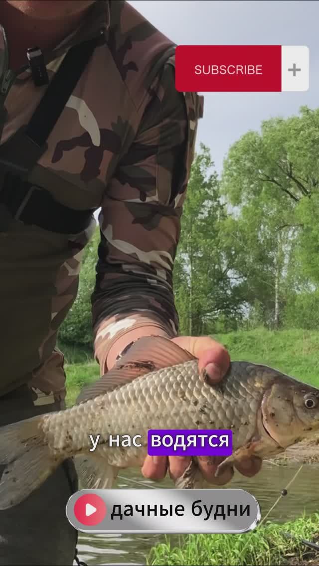 РЫБАЛКА | РЕКА | КАРАСЬ | ПРИКОЛ👍🎣#fishing #рыбалка #юмор #shorts #рыба #приколы #рыбак #карась