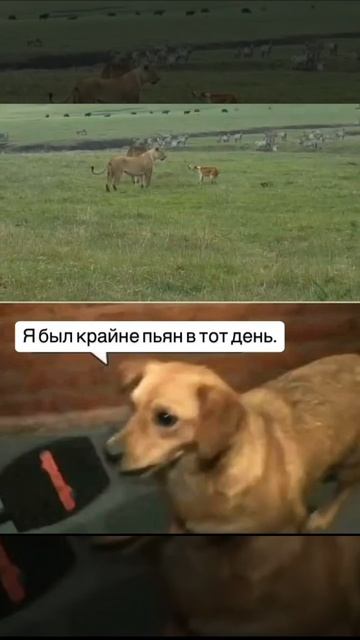 1000203025.mp4