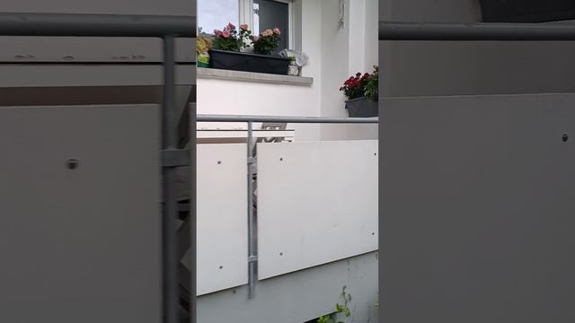 доказательство не проживания детей по адресу в Швейцарии