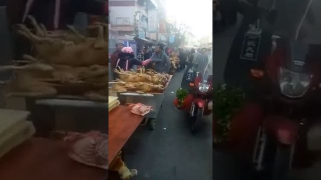 Жесть!!!!! Только 18+!!!!!! Как в Китае готовят собак ((((( People
