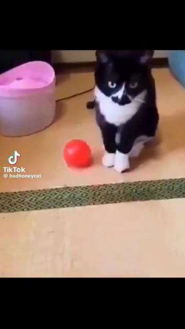 1000098642.mp4