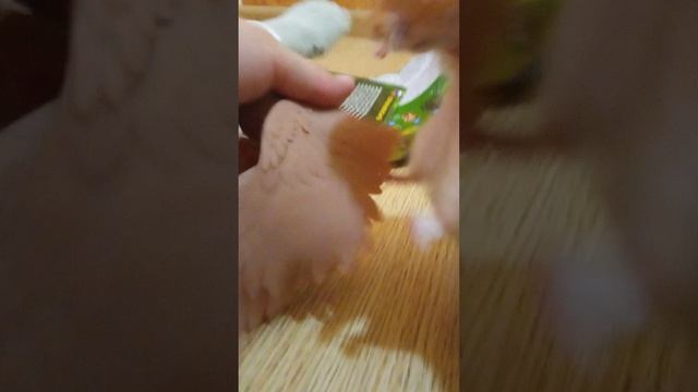 распаковка игрушки