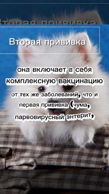 2 часть