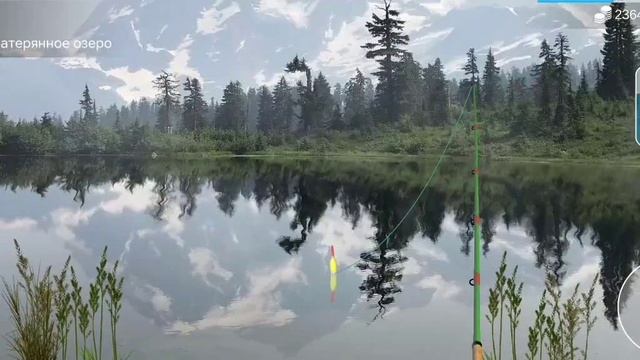 Как поймать густера в игре My Fishing World