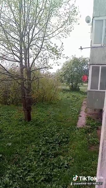 b320ae12-310e-4f76-9e7d-9fa022ba9419-watermark (1).mp4