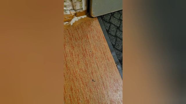 Новолуние. Изменение вашей жизни
