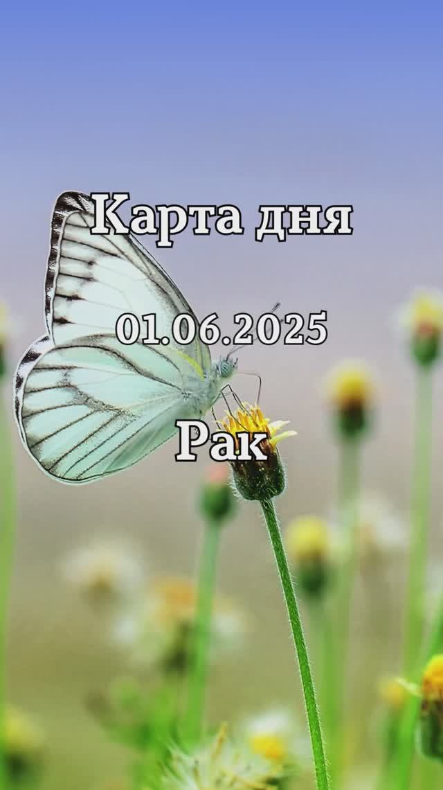 ✨Карта дня 01.06.2025✨ Рак