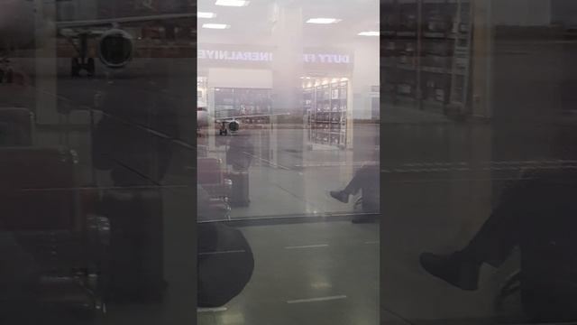 Прибытие самолёта компании URAL AIRLINES Москва (Домодедово