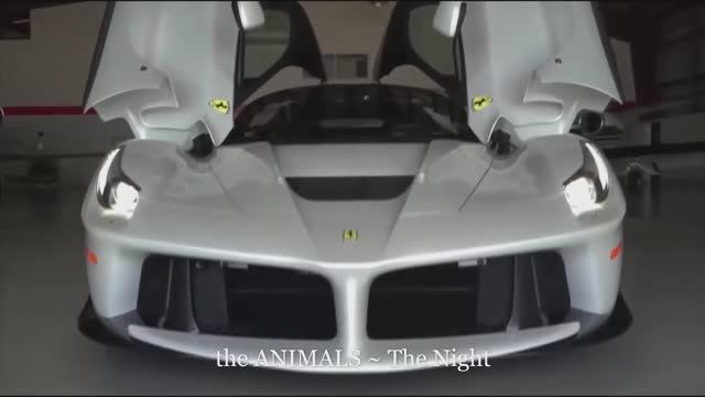 the ANIMALS ~ The Night