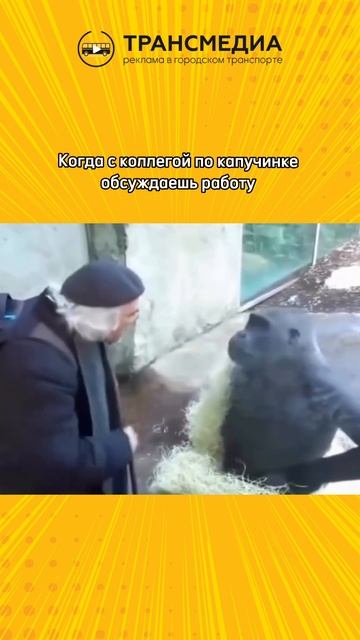 у вас есть такой коллега?