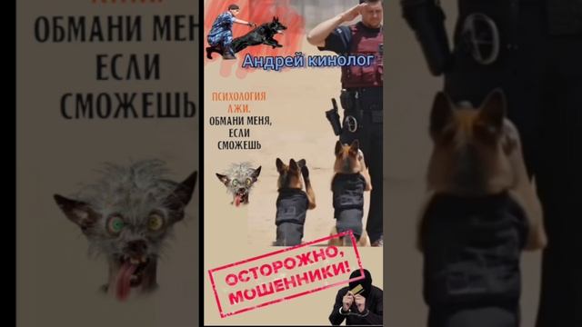 Продлеватели и инвест-гении!