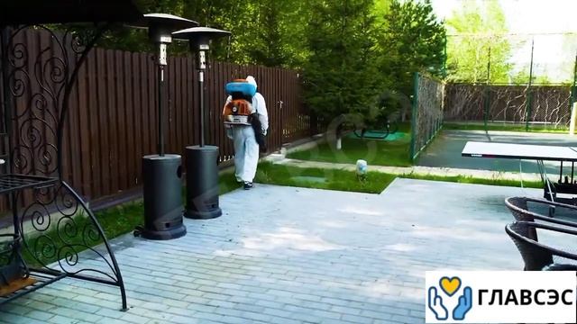 Обработка участка от насекомых.mp4