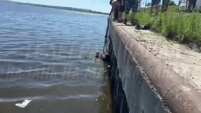 Спасли малыша который упал в реку.