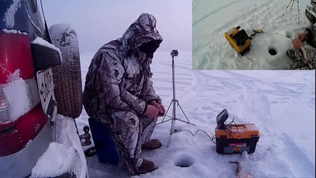 Ловля разных окуней разными удочками. 15.01.2016г.