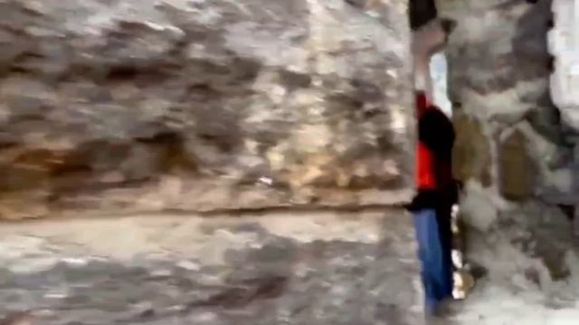 Нашли что-то странное в лесу