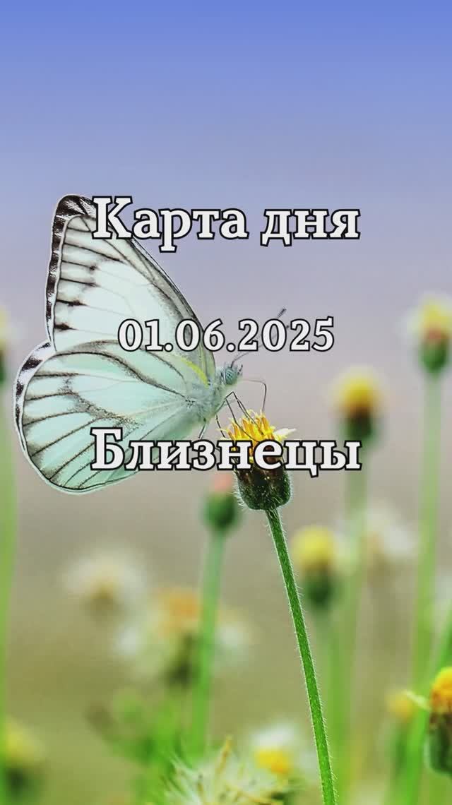 ✨Карта дня 01.06.2025✨ Близнецы