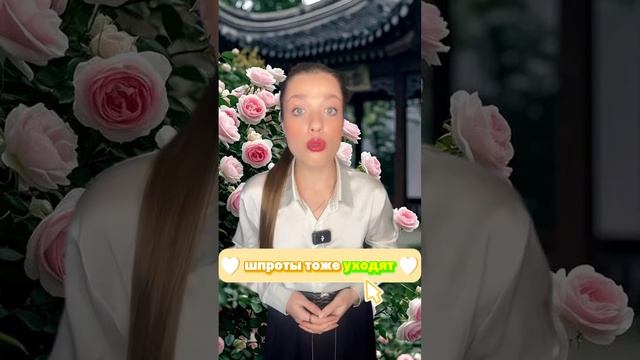 Ксения Буглак (798)