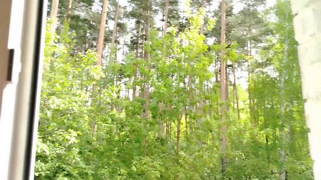 181)-28.05.25.Моя 👩городская 🏢жизнь 🌳.отпуск продлевается.