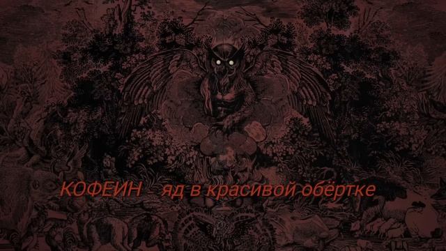 КОФЕИН и вегето-сосудистая Дистония!! ЯД в красивой об?