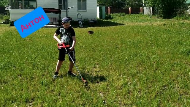 дачный сезон! 1 видео