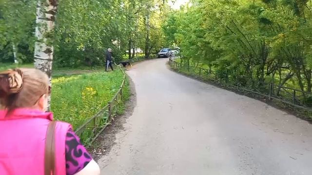 28 мая 2025. Майские моменты.