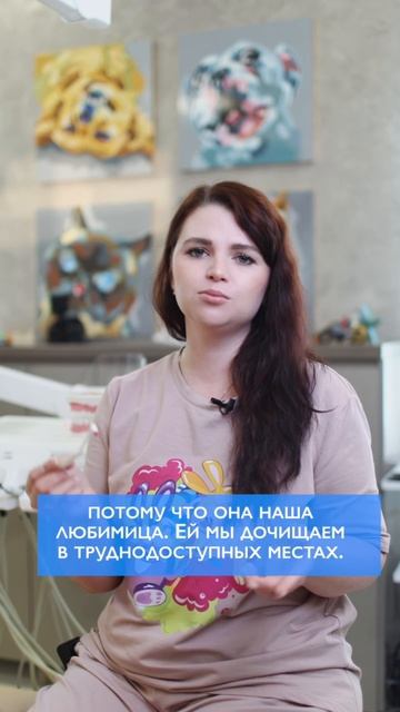 Какую щетку выбрать?