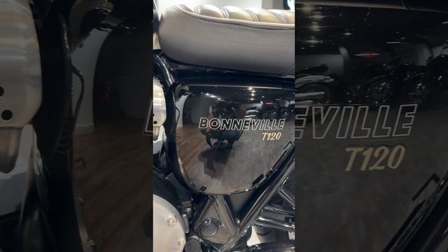 2018 TRIUMPH T120 Racing Green