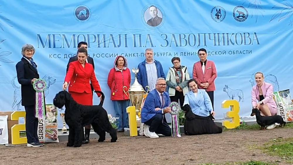 25.05.2025, СПб. "КСС ДОСААФ" (РКФ, РФСС). Рейтинговая выставка "МЕМОРИАЛ ЗАВОДЧИКОВА" (САС, ЧРКФ)
