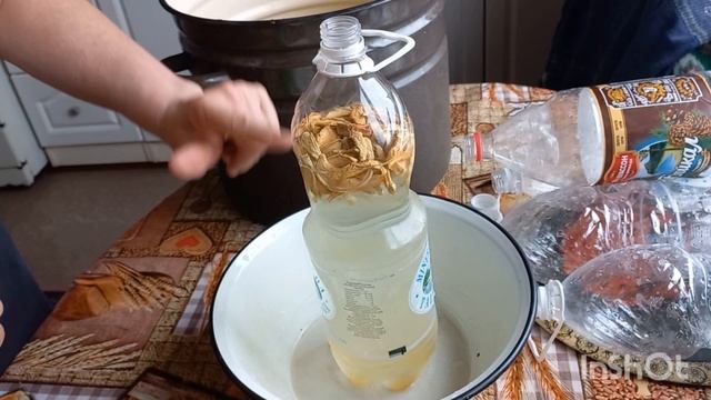 РОБЛЮ БЕРЕЗОВИЙ КВАС В ПЛЯШКАХ.