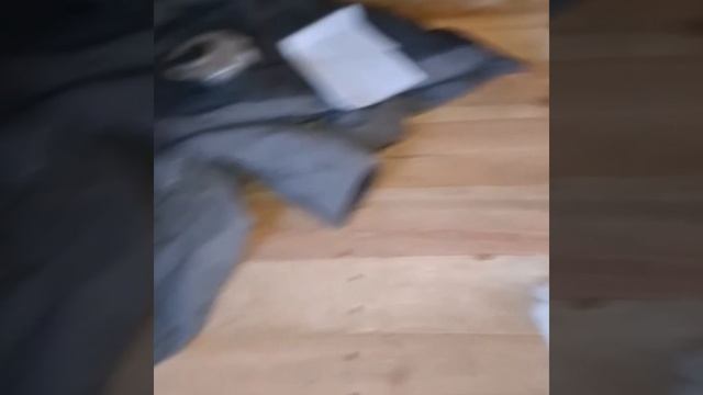 1000024836.mp4 (Собака смотрит на электроснабжение нового дома А-фрейм)