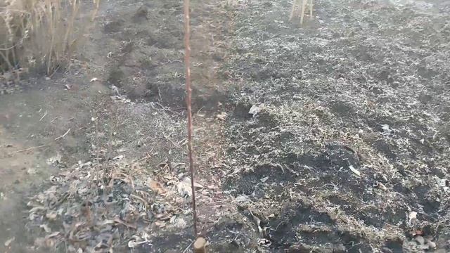 Жизнь в селе.Утро.планы.Кофе.