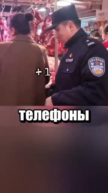 i11ushenka (54)