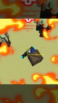 котейка на спагате