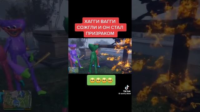 Хагги ваги