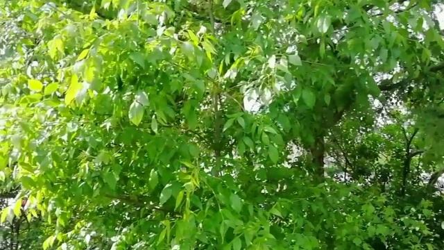 Если мы поздравим пограничника