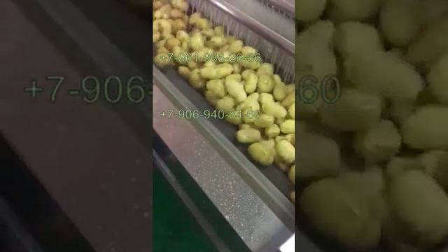 Станок для очистки и мойки овощей