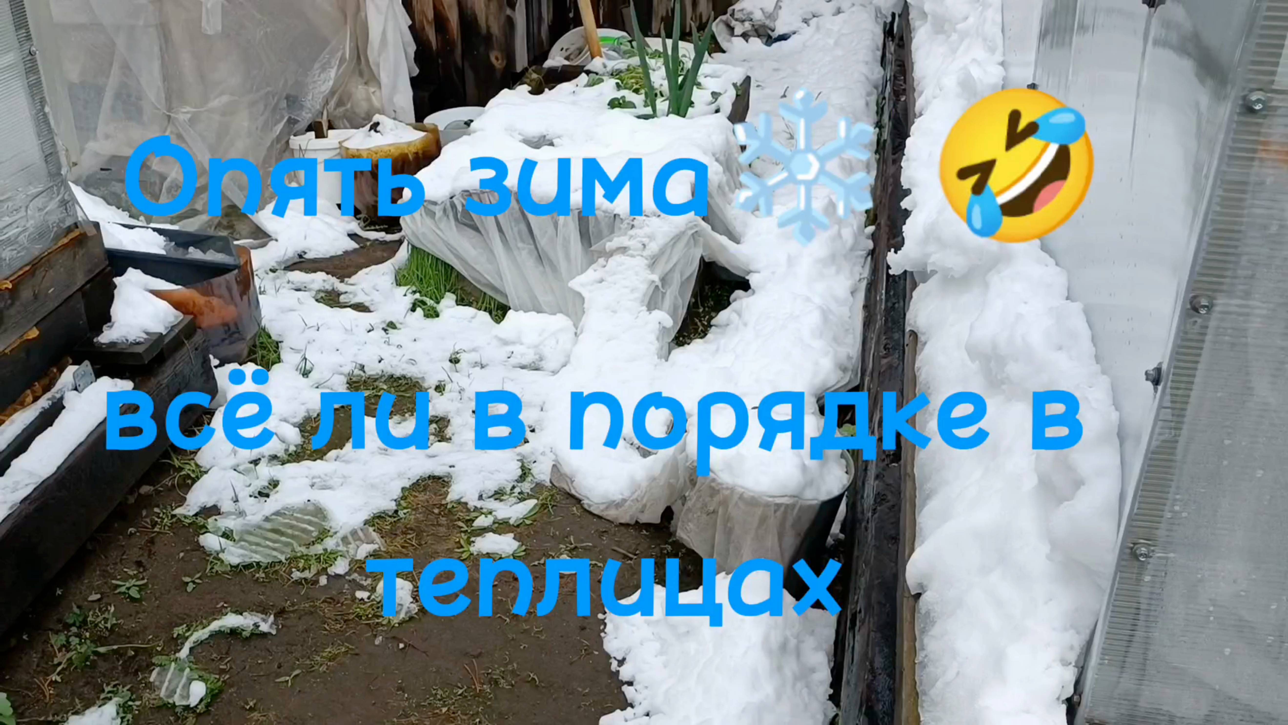 Один день выстояли💃💃💃Осталось два дня 🤣🤣🤣🤣