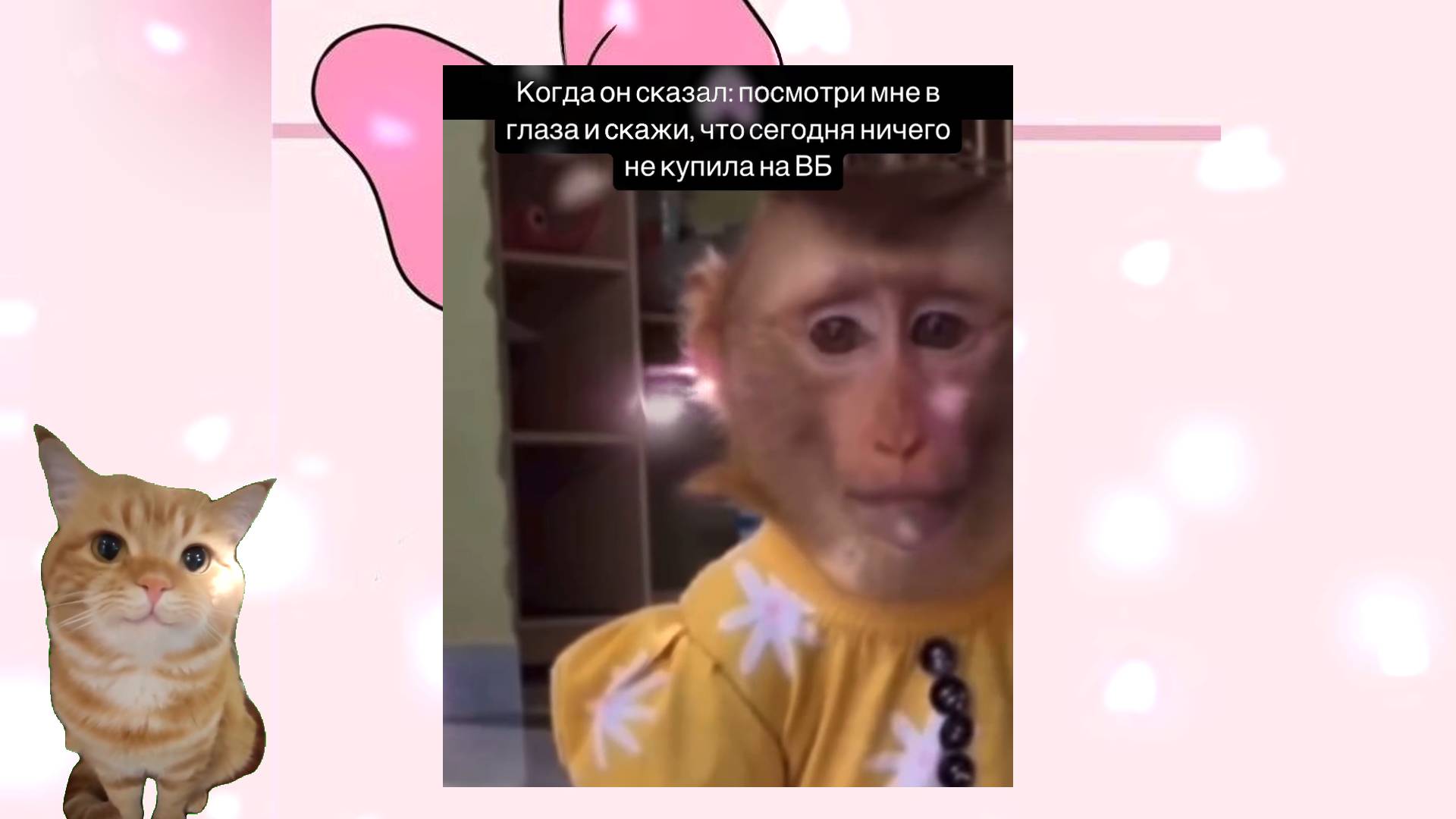 Подборка класных мемов и смешных видео. Часть 1