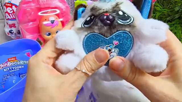 РАСПАКОВКа КОРОБКИ С САМЫМИ МИЛЫМИ ДОМАШНИМИ ЖИВОТНЫМИ НА СВЕТЕ