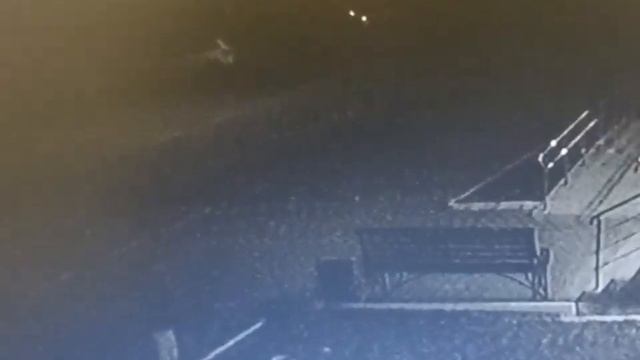 В Троицке вандалы выкопали и вытоптали цветы.