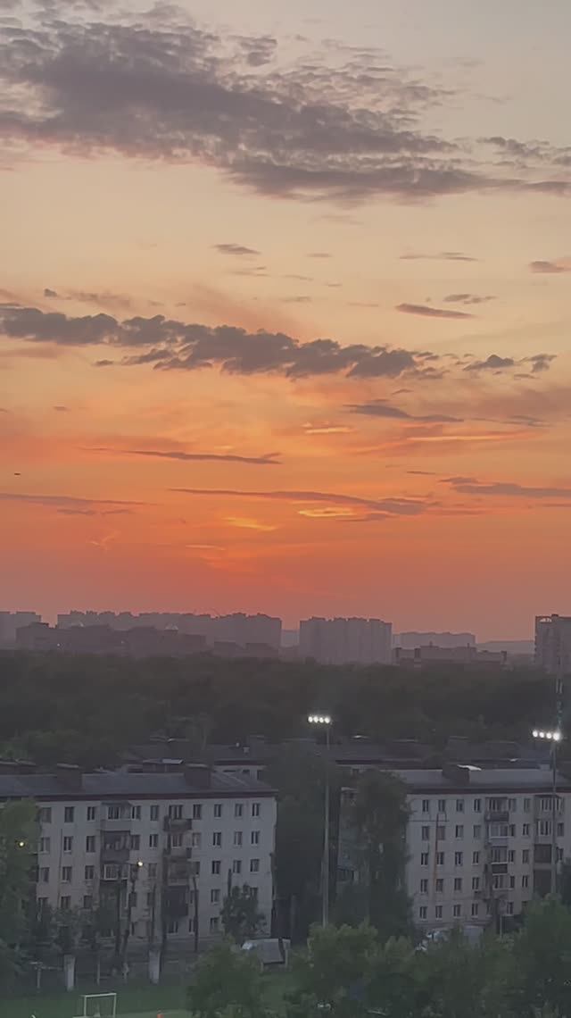 Чайки на закате