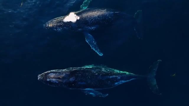 МЕДИТАЦИЯ ВОССТАНОВЛЕНИЕ ЭНЕРГИИ • избавься от трево