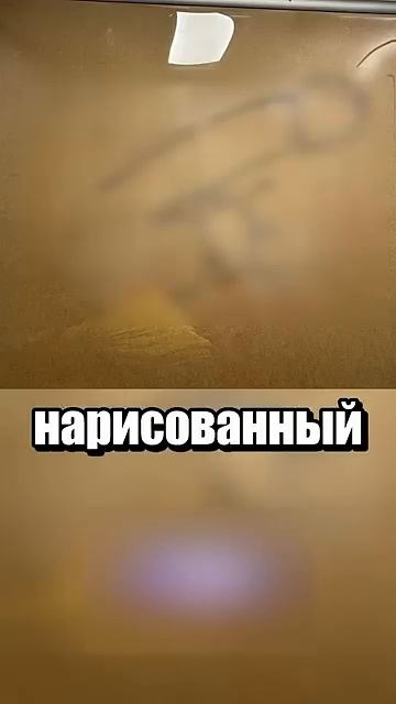 i11ushenka (1116)
