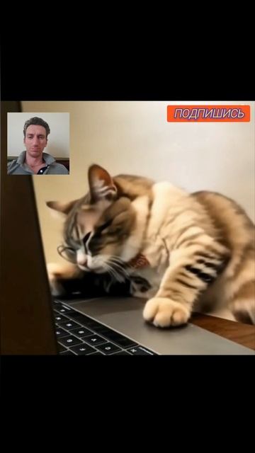 Когда устал
