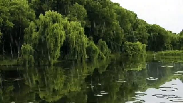 Видео. Идут дожди. 2025г. Для  Души.