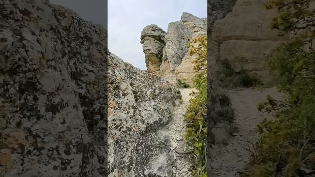 Звездопад Воспоминаний. Крым. Коктебель.