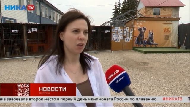 Бим ищет дом!